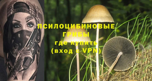 твердый Верхний Тагил