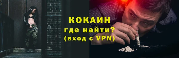 сатива Костерёво