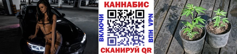 МАРИХУАНА тримм  купить наркотики цена  Павловск 